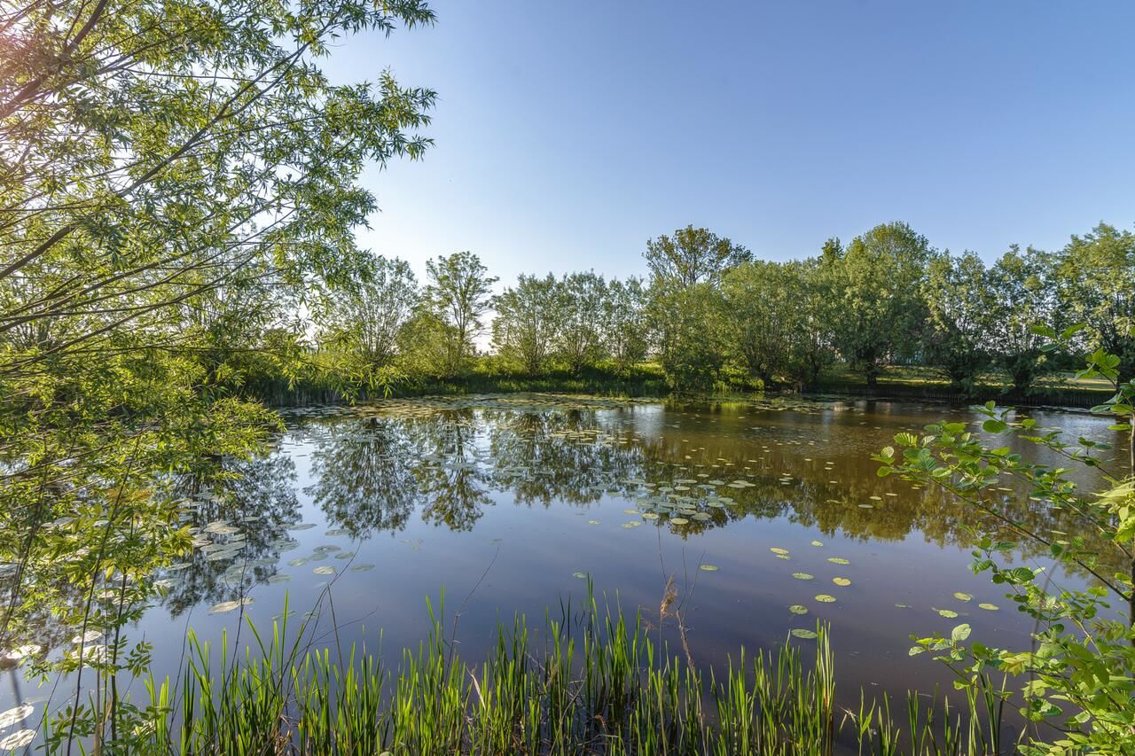 Загородные дома Nad Wierzbowym Stawem Świerznica-18