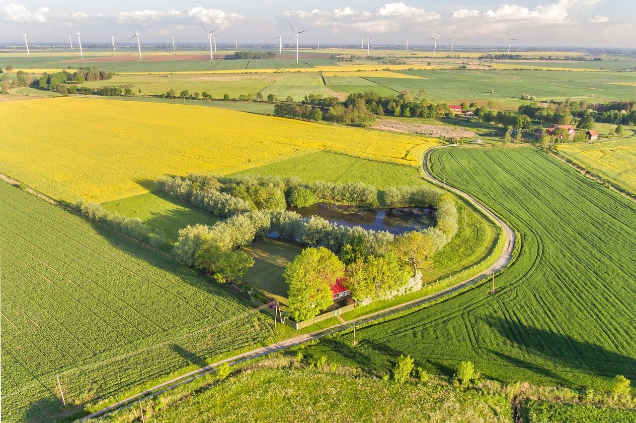 Загородные дома Nad Wierzbowym Stawem Świerznica-19