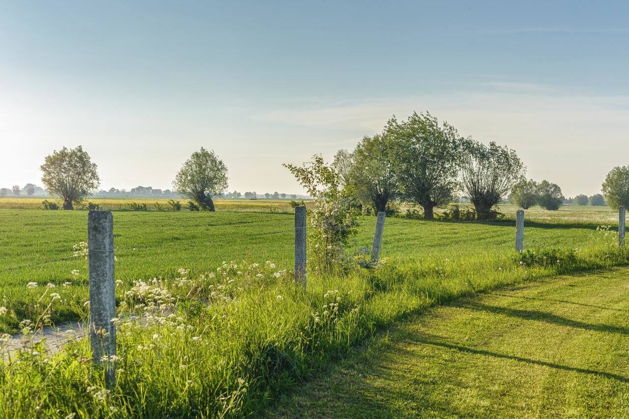 Загородные дома Nad Wierzbowym Stawem Świerznica-20